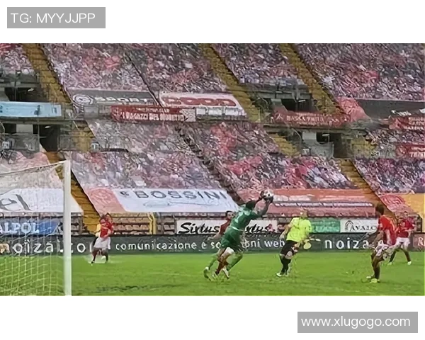 西安排球队实力引发热议球迷对战绩与阵容展开激烈讨论